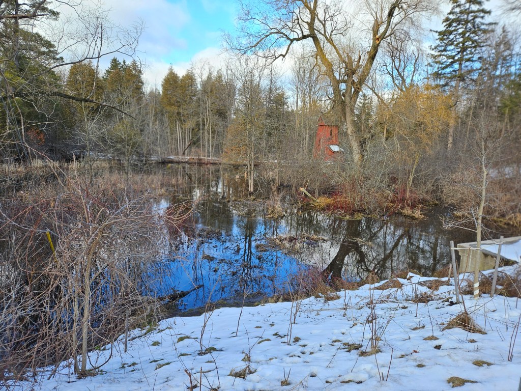 Missionary Stirrings in the New Mennonite Church&nbsp;(1859)