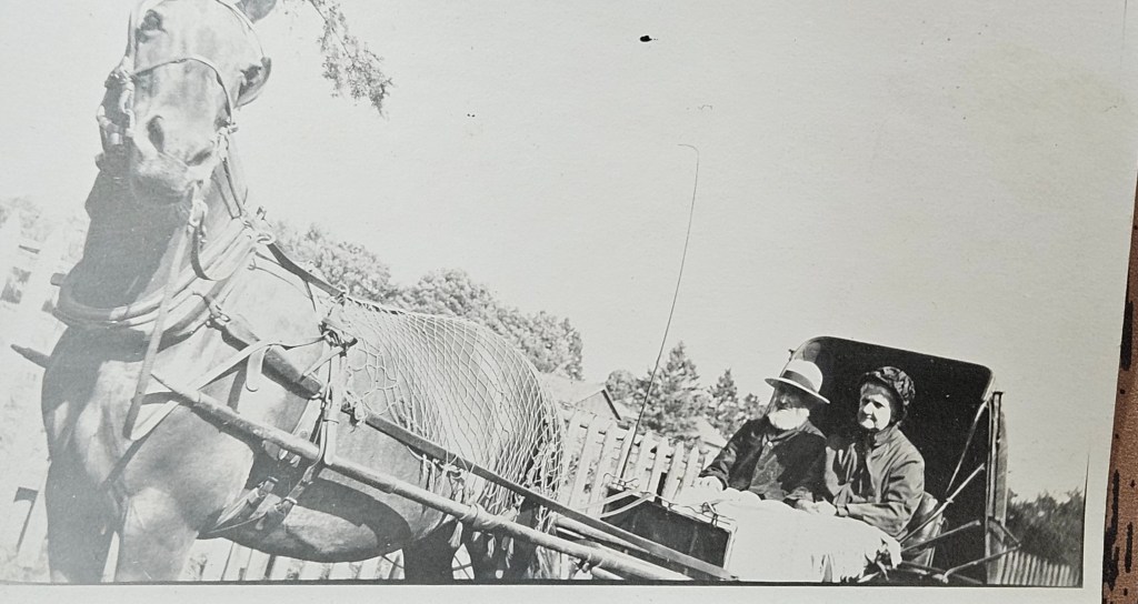 Levi and Fannie Raymer, Sunnidale Township, Simcoe&nbsp;County